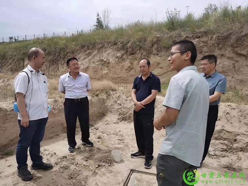 省农业生态总站组织调研尾菜处理利用新技术试验研究工作